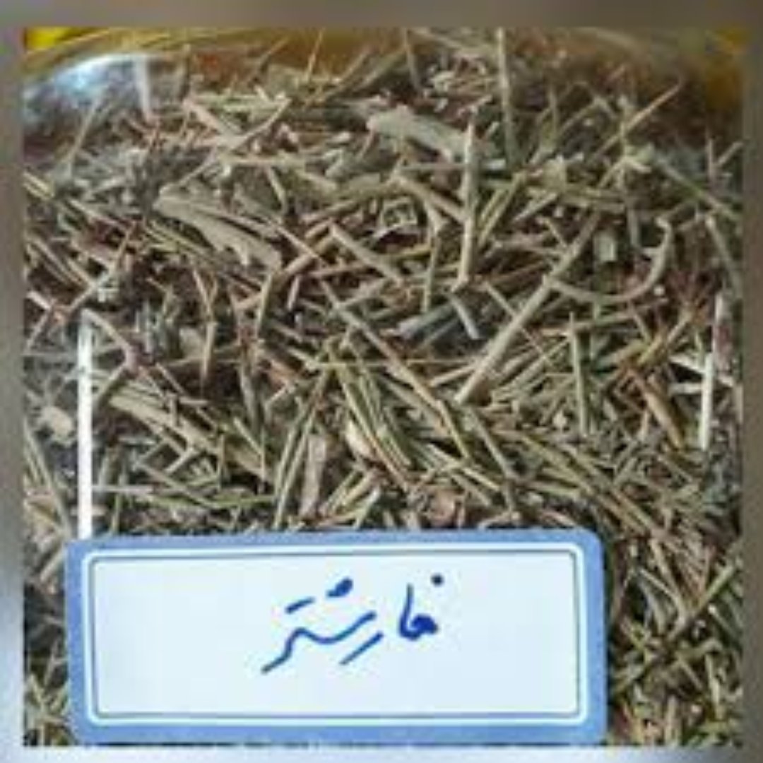 خارشتر (50 گرمی)