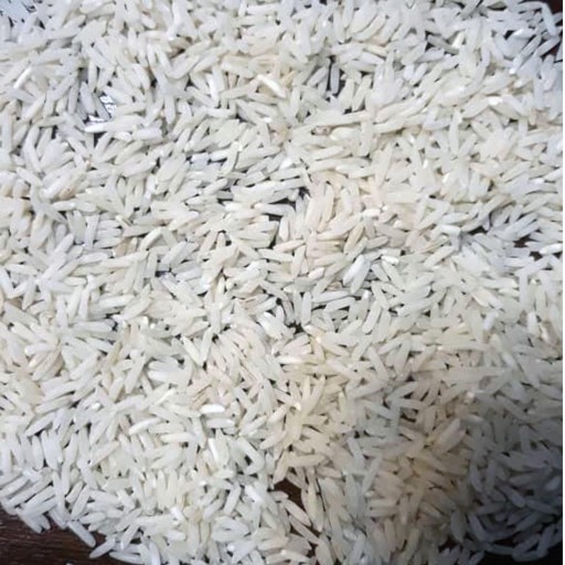 برنج فجر محلی