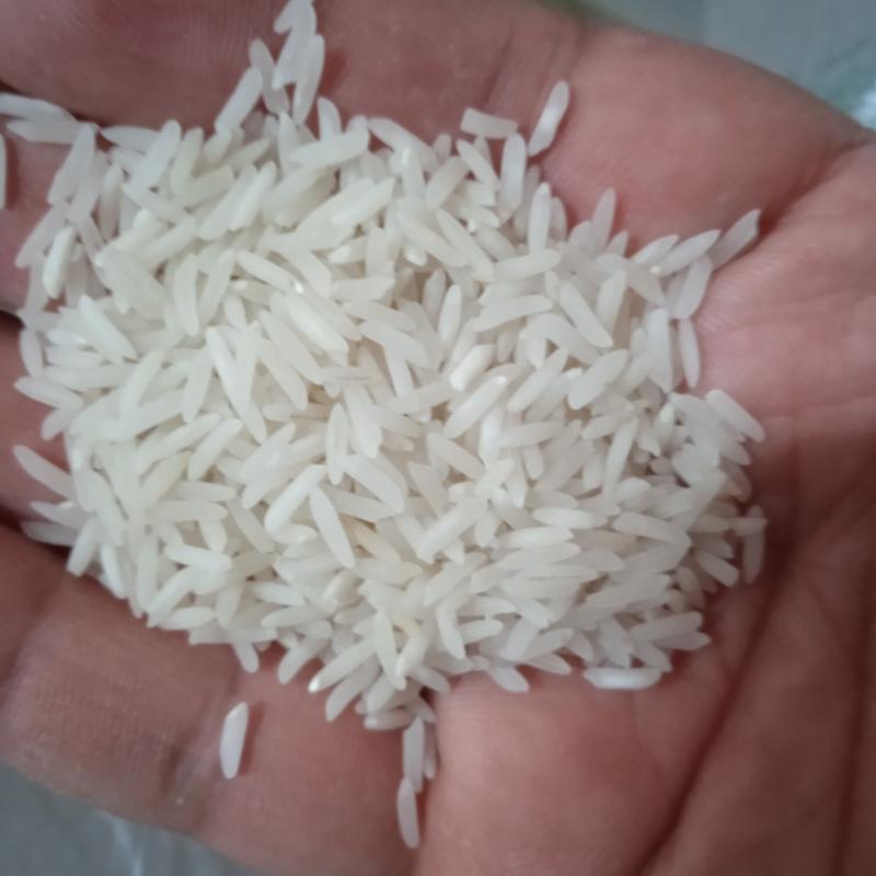 برنج فجر خوشپخت(10کیلویی)