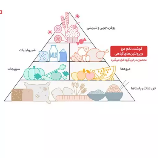 لوبیا قرمز بسته بندی گلستان ( 900 گرمی) 