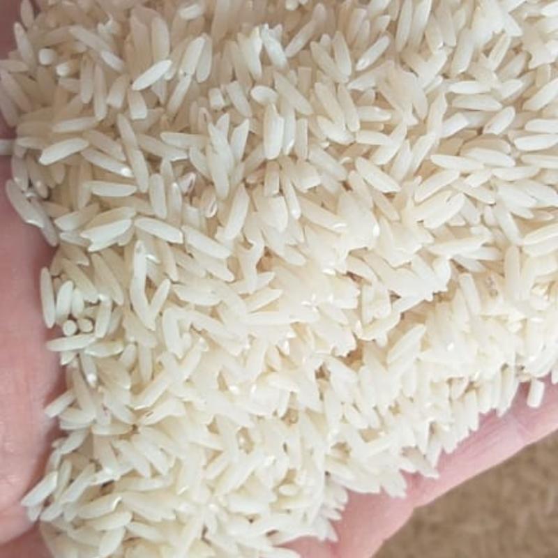 برنج حسن سرایی 10 کیلو 