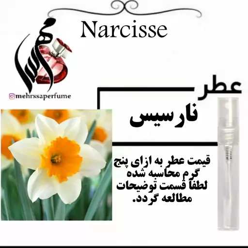 عطر زنانه نارسیس (گل نرگس) حجم 5 میل 