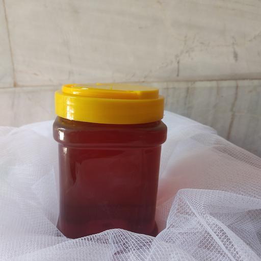 عسل کُنار عالی با ساکارز (قندعسل)3 و پرولین (پروتئین عسل)700 محصول شیراز 