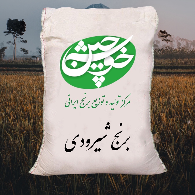 برنج شیرودی عمده (1000 کیلوگرم)