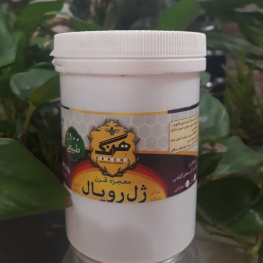 ژل رویال عسل مرغوب آل عبا(30گرم ژل رویال+ 500گرم عسل مرغوب) 