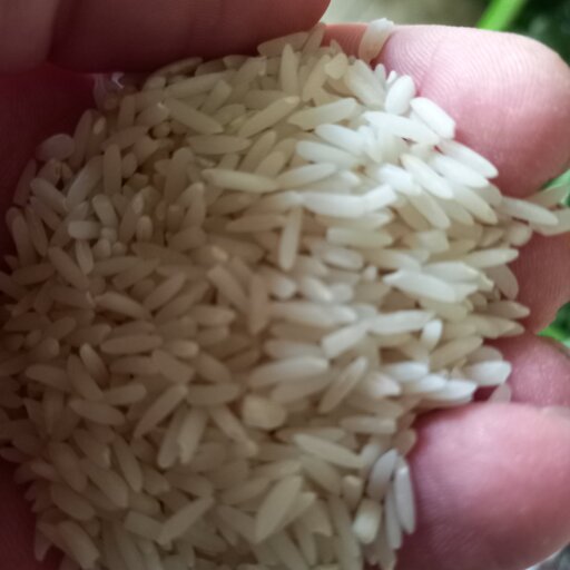 برنج هاشمی درجه یک یک کیلویی