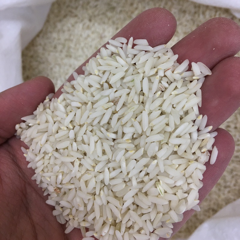 برنج علی کاظمی دورود لرستان امساله کیسه 25 کیلویی (ارسال توسط باربری-پس کرایه)