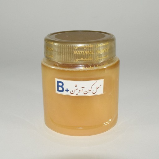 عسل گون آویشن رسی (500 گرم با ظرف)