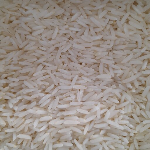 برنج طارم هاشمی بابل خوشپخت، خوش‌طعم و قیمت اقتصادی 
