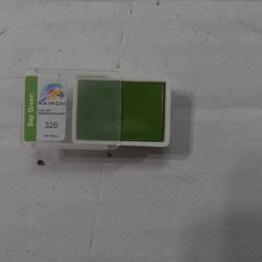 آبرنگ تک رنگ رایمون Sap Green 326