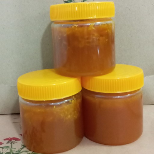 عسل وحشی بلوچستان 294 گرمی