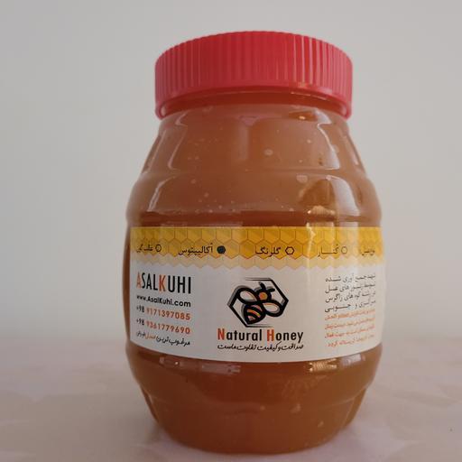عسل رُس -1000گرم، عسل شکرک زده ، عسل کریستاله ، خام و ارگانیک 