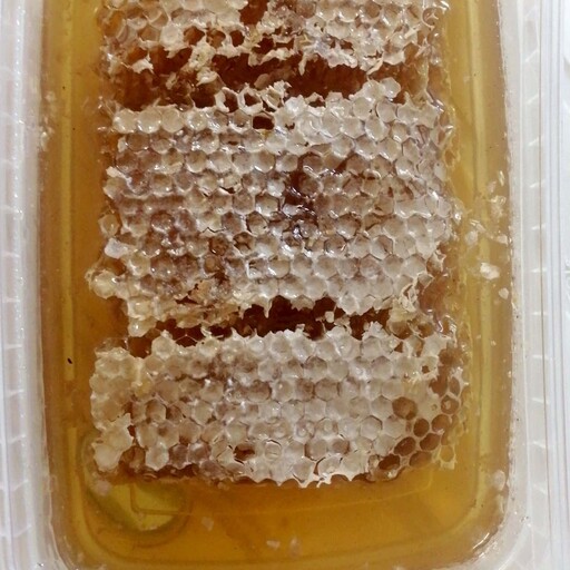 عسل گون با موم 764 گرم با ساکارز زیر 3 درصد با رنگ و بوی کاملا طبیعی 