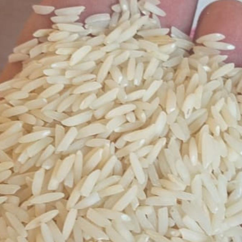 برنج هاشمی آستانه 10 کیلو