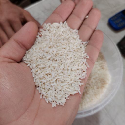 برنج سرلاشه فجر   10 کیلویی امساله 1401