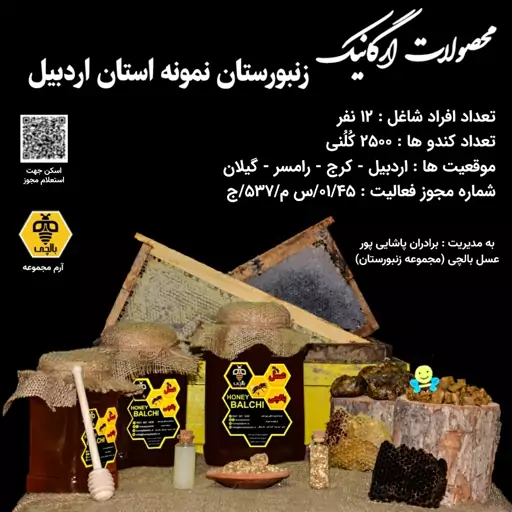 عسل طبیعی باموم بالچی (1 کیلوگرم با بسته 6 عددی)  (خرید از زنبوردار نمونه و ارسال رایگان)