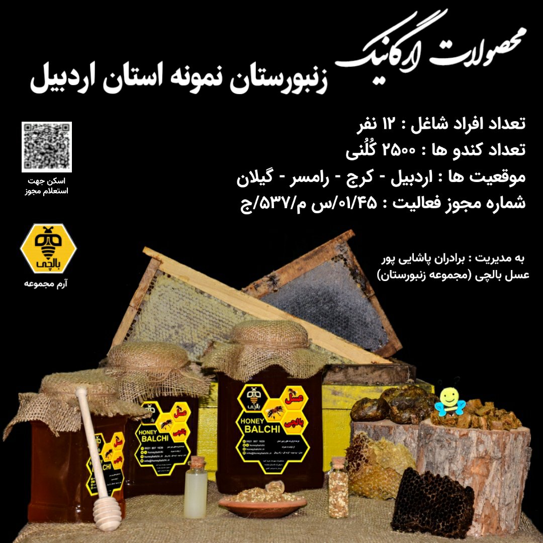 عسل طبیعی بالچی ساکارز زیر 3 (1 کیلوگرم با بسته 6 عددی) (خرید از زنبوردار نمونه و ارسال رایگان)