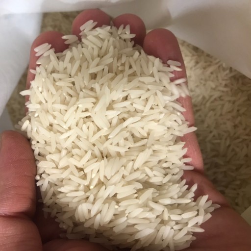 برنج صدری دمسیاه طبیعی سفارشی 10 کیلو (فوق اعلاء) آستانه اشرفیه