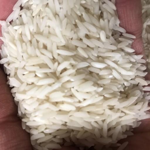 برنج طارم محلی 10kg آستانه اشرفیه فوق اعلاء برداشت سال99