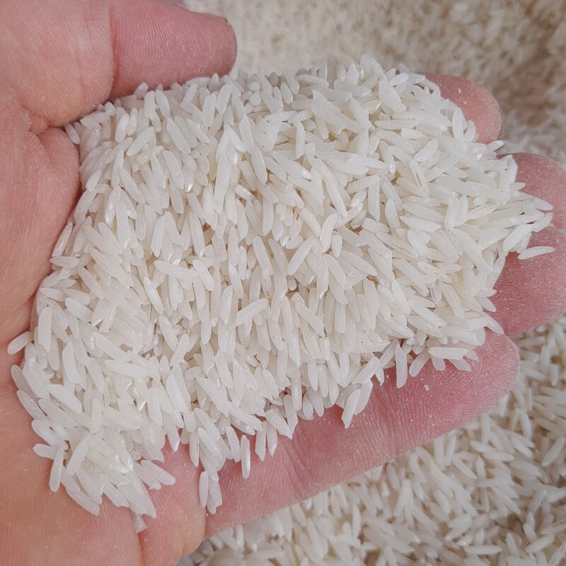 برنج مرغوب فجر با عطر بو محصول تازه پخت عالی  بسته بندی شده 5 کیلویی با ارسال رایگان به موقعه سریع 