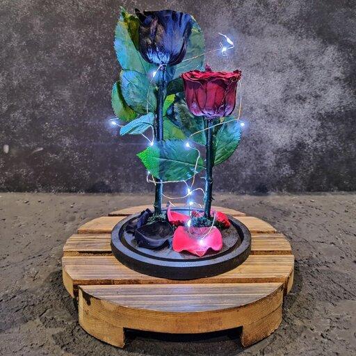  رز جاودان قرمز و مشکی دو شاخه ای باکس گل مدل دیو دلبر کینگ با ریسه مهتابی 