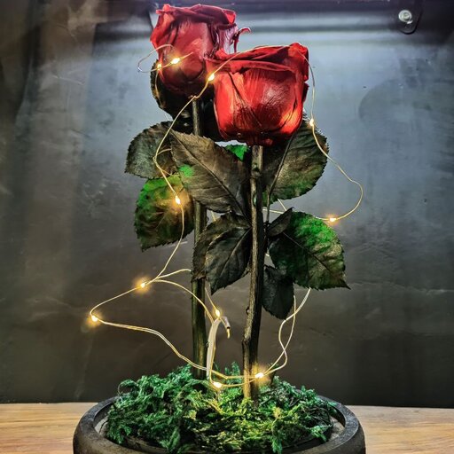 باکس گل مدل دیو دلبر کینگ با دو شاخه رز جاودان قرمز و ریسه آفتابی 
