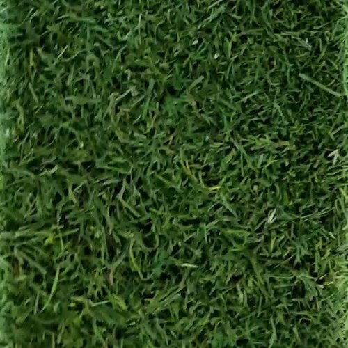 سبزی شوید خشک درجه یک با کیفیت عالی سالده، 100 گرمی