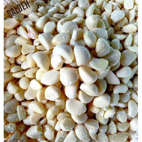 پودر سیر خالص اعلای  سالده 100 گرمی