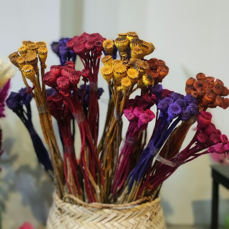 گل خشک تزیینی  خشخاش بزرگ با کیفیت عالی و درجه یک در رنگهای مختلف 