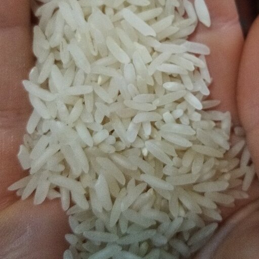 برنج صدری هاشمی استخوانی گیلان 10 کیلویی
