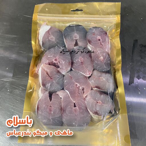 ماهی کوتر دم سیاه یا شیر نیزه ایی تازه و صید روز بندرعباس (1 کیلوگرم)