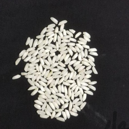برنج عنبربو اعلای جنوب (تضمین کیفیت - مستقیم از شالیکار) (ده کیلویی)