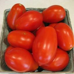 بذر گوجه فرنگی پومودورو 20 عددی