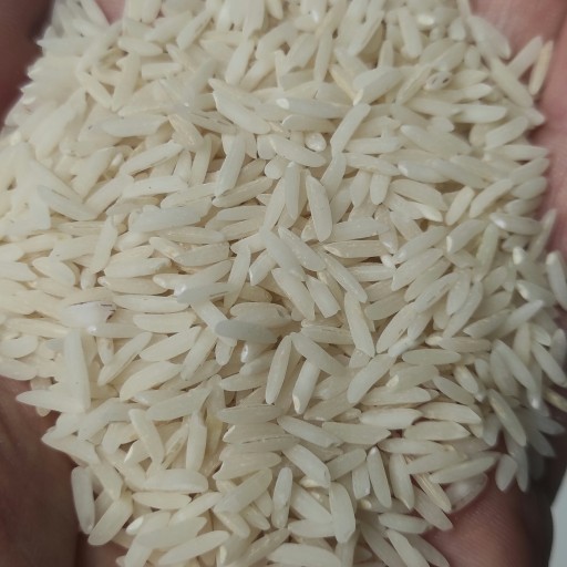 برنج درجه1 شمال 10کیلویی طارم هاشمی محموداباد