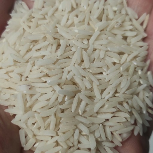 برنج درجه1 شمال 10کیلویی طارم هاشمی فریدونکنار