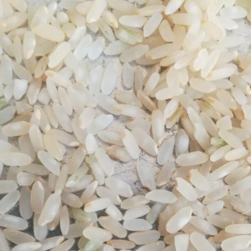 برنج کامفیروزی اعلادرجه یک