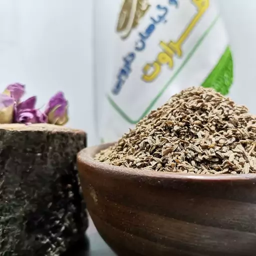 تخم هویج خالص درجه یک 500 گرمی (عطاری و محصولات ارگانیک طراوت)