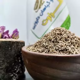 تخم هویج خالص  درجه یک 100گرمی (عطاری و محصولات ارگانیک طراوت)