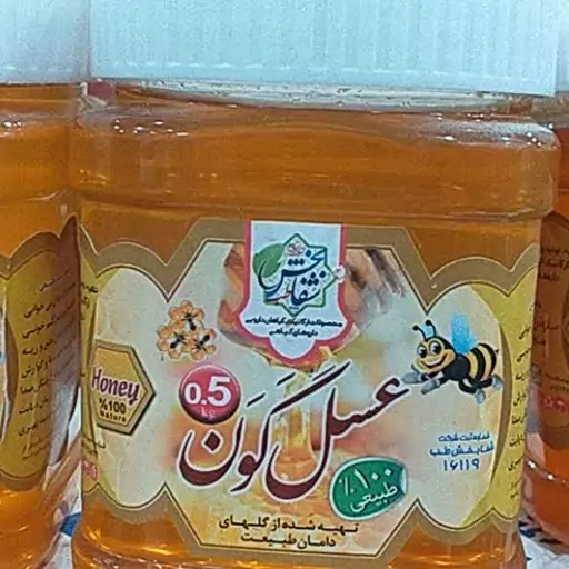 عسل گون(نیم کیلویی)