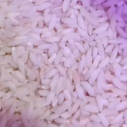 برنج عنبربو مجلسی و معطر 