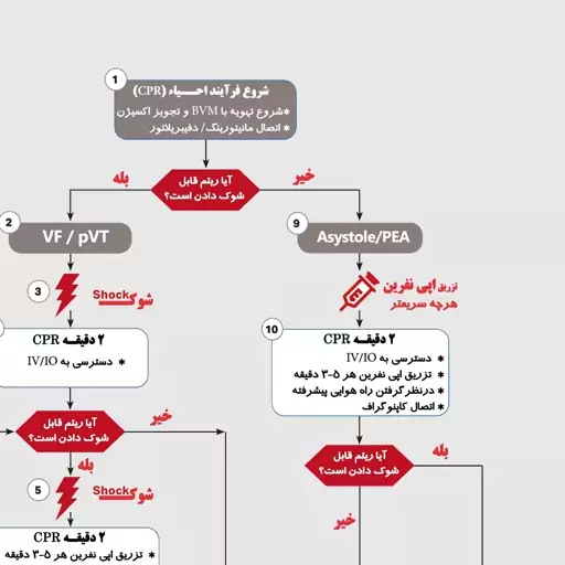 پوستر احیای قلبی ریوی کودک (اطفال) 2020 CPR