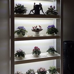 استند نگهداری گیاهان مخصوص نگهداری گیاهان آپارتمانی 