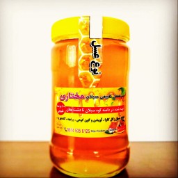 عسل طبیعی یونجه مغان 1 کیلویی (مستقیم از نبوردار)