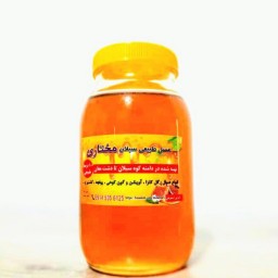 عسل طبیعی کلزا خام مغان 1 کیلویی ساکارز زیر2 درصد (مستقیم از زنبوردار) ارسال رایگان