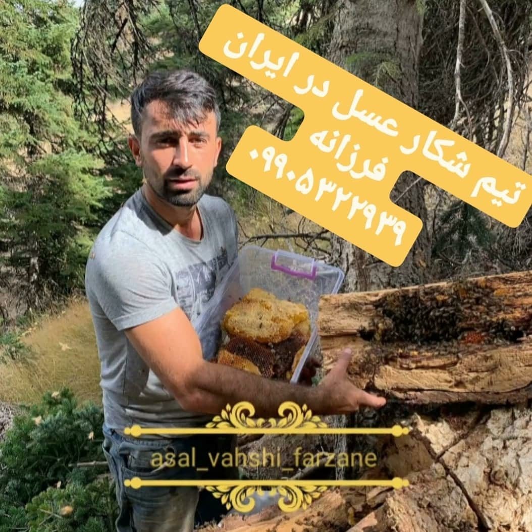 عسل صخرایی (پس کرایه)