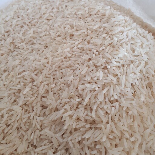 برنج فجر  درجه یک گیلان