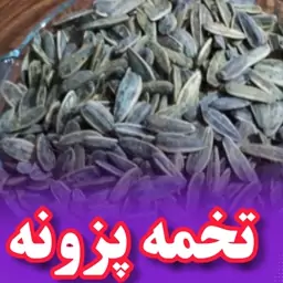 تخمه آفتابگردان ایرانی