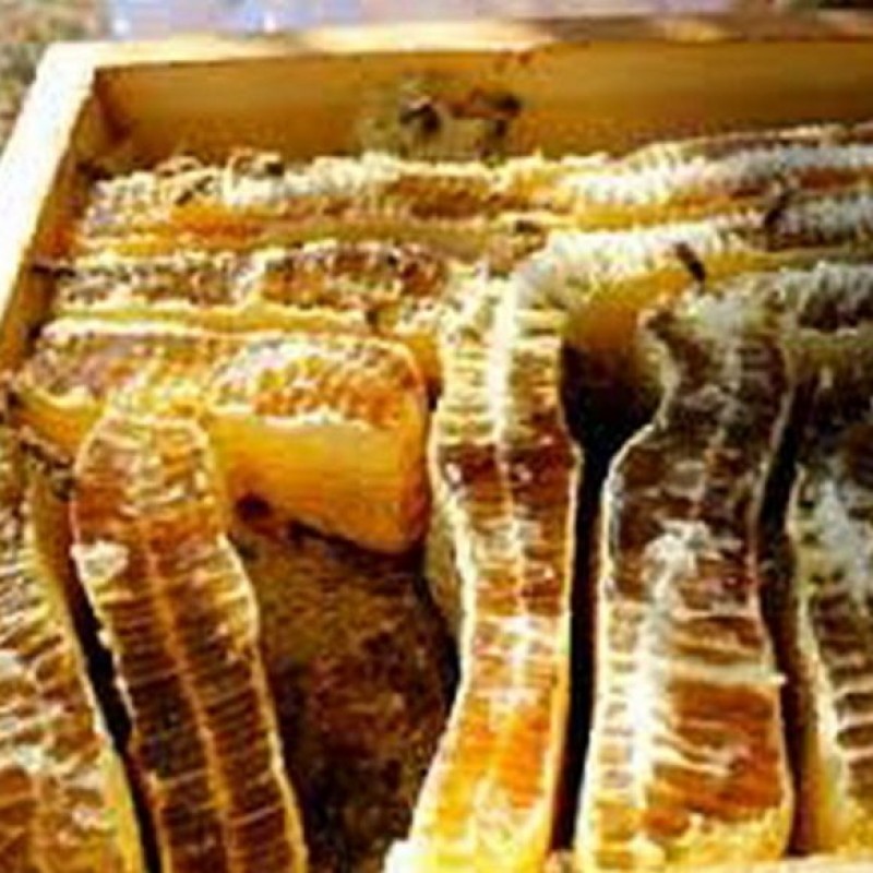 عسل طبیعی کوهستان قادراباد