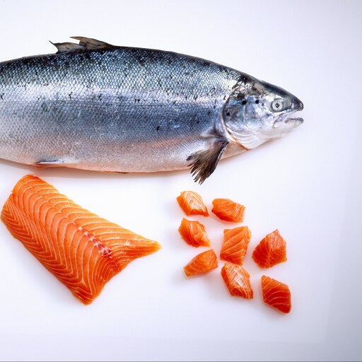 ماهی سالمون 5 کیلوگرمی به صورت فیله و بسته بندی شده بریس فیش