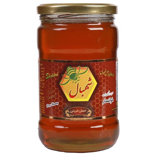عسل طبیعی شهد گون شهبال - 850 گرم